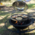 Classic Grill