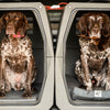 G1™ KENNEL - TAN