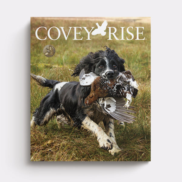 2014 | Covey Rise