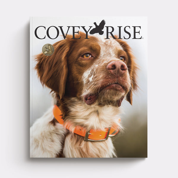 2015 | Covey Rise