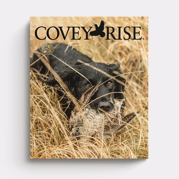 2017 | Covey Rise