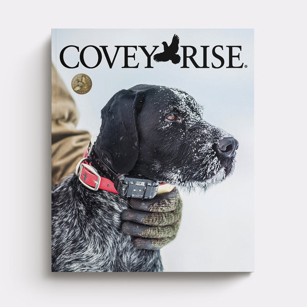 2018 | Covey Rise