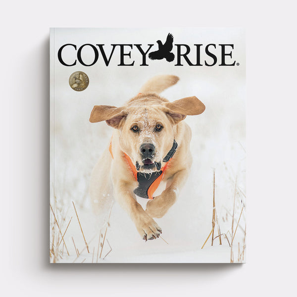 2019 | Covey Rise