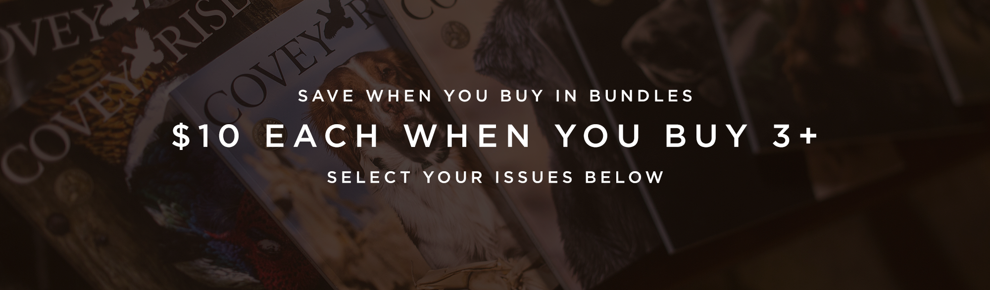 Save When you buy in Bundles