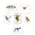 Preston Card Set