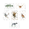 Preston Card Set