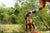 Yonder 1L Water Bottle