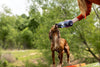 Yonder 1L Water Bottle