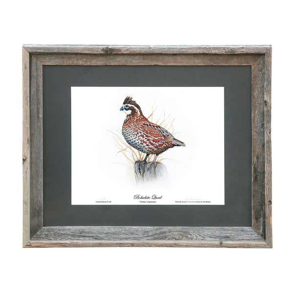 Limited Edition Quail Prints - Set of 6