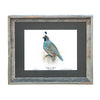 Limited Edition Quail Prints - Set of 6