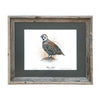 Limited Edition Quail Prints - Set of 6