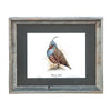 Limited Edition Quail Prints - Set of 6