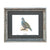 Limited Edition Quail Prints - Set of 6