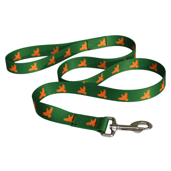 Dog Leash